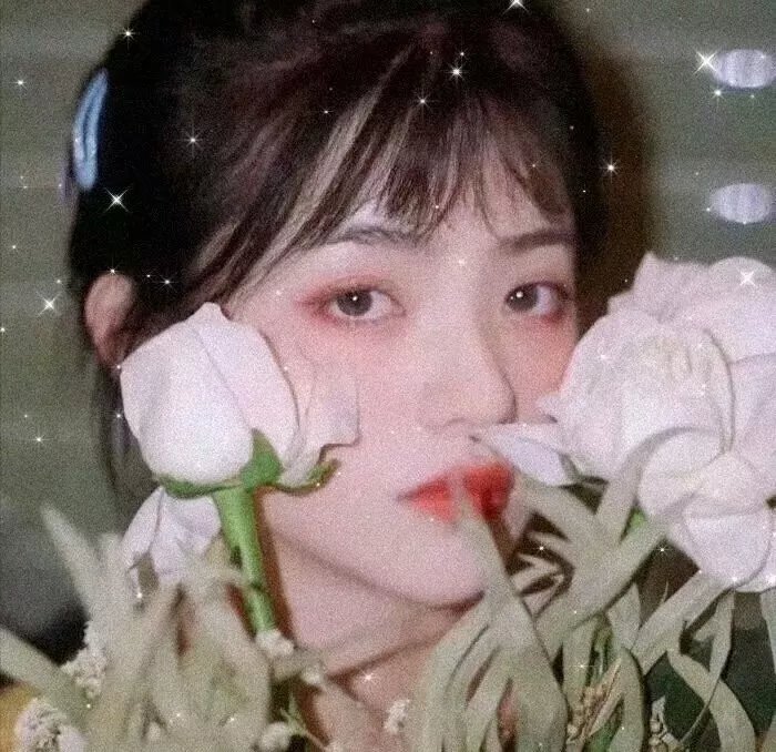 翠湖艳尸案
